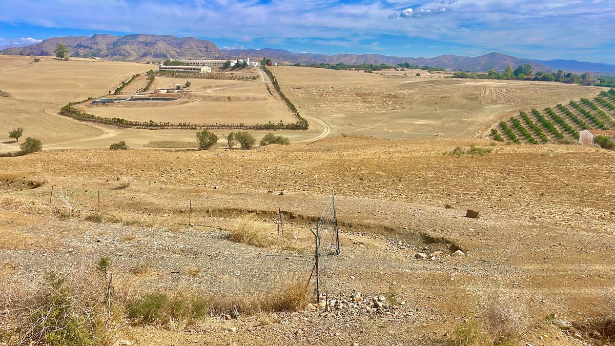 Plot Land in Villafranco del Guadalhorce