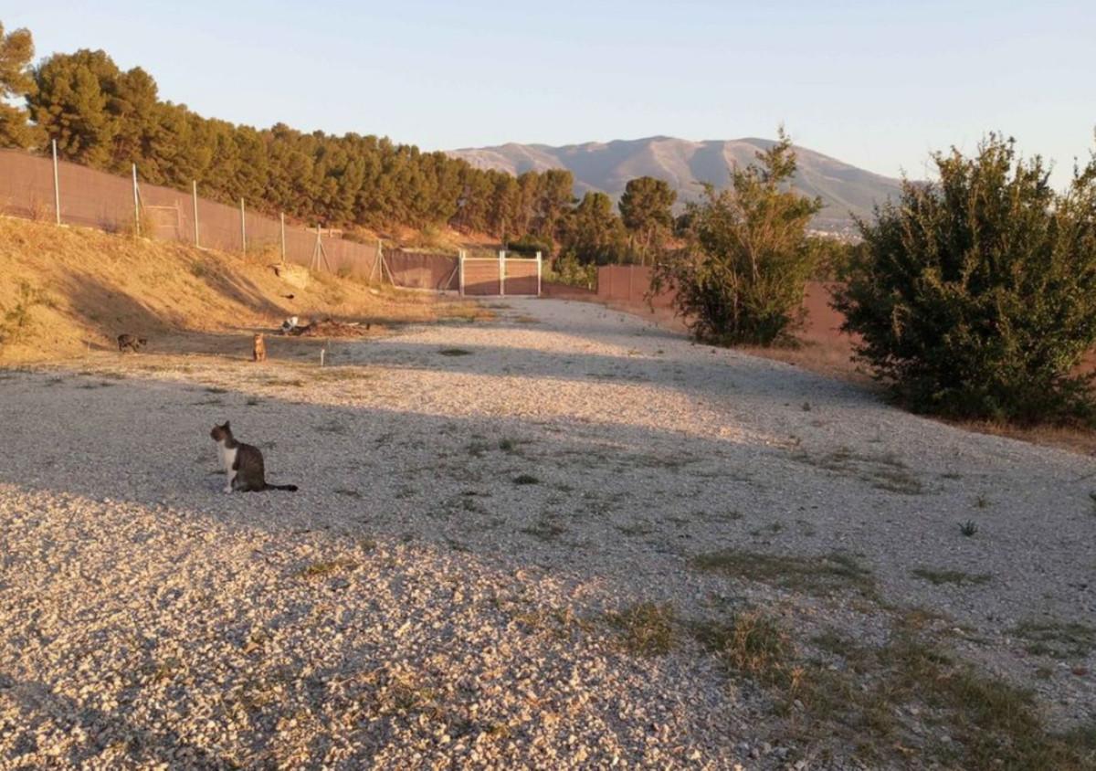 Plot Land in Alhaurín el Grande