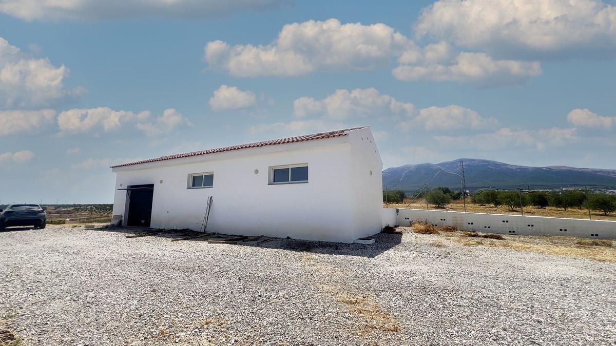 Commercial Building in Alhaurín el Grande