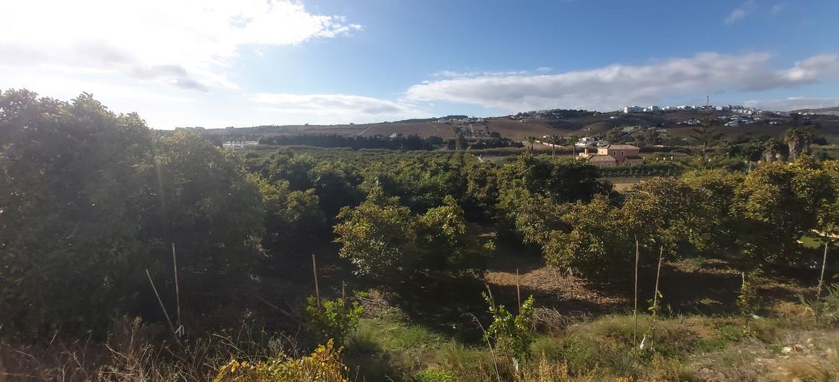 Plot Land in Estepona