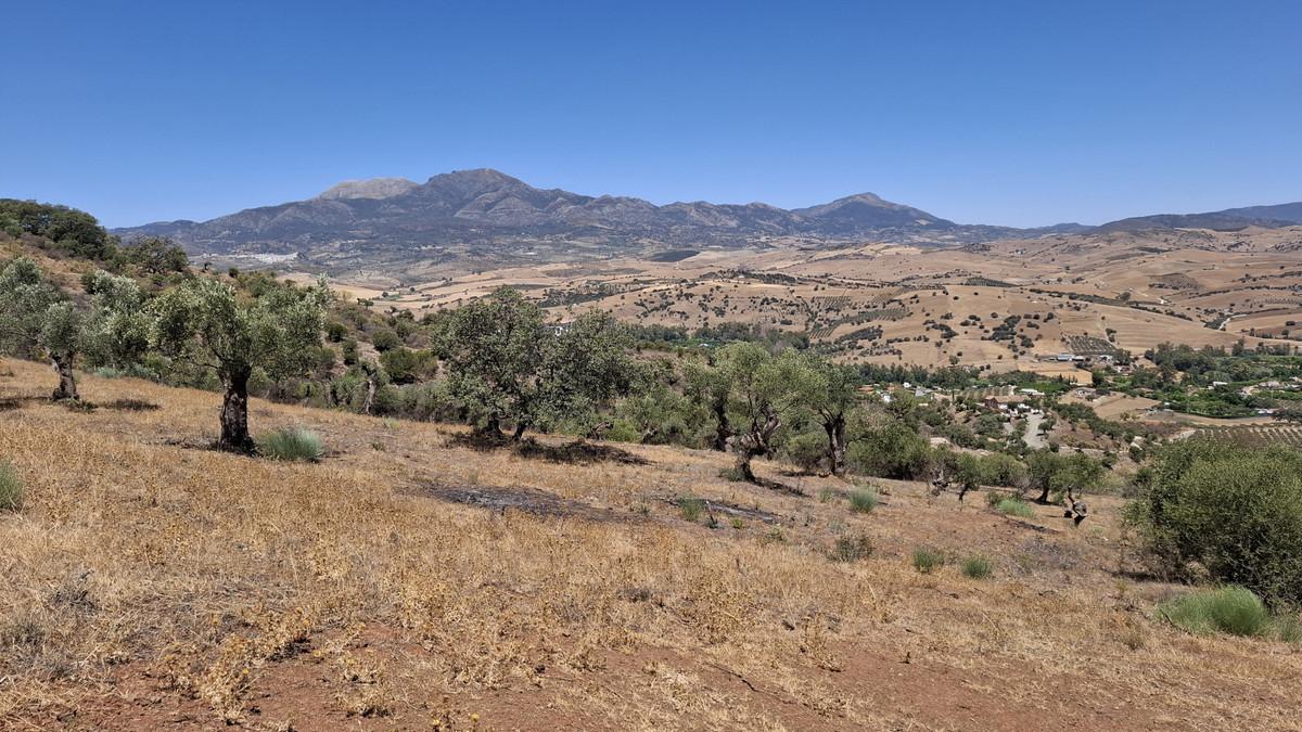 Plot Land in Coín