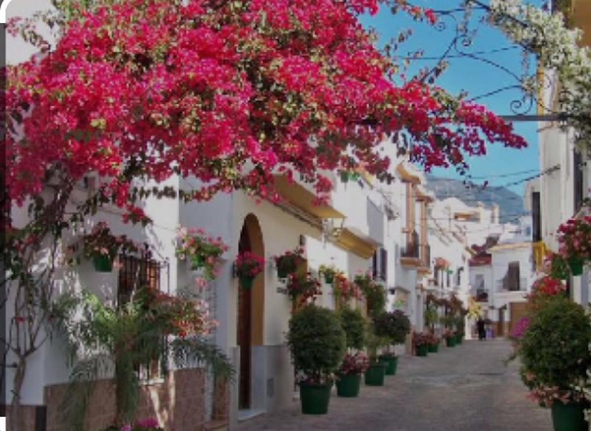 Commercial Hotel in Estepona