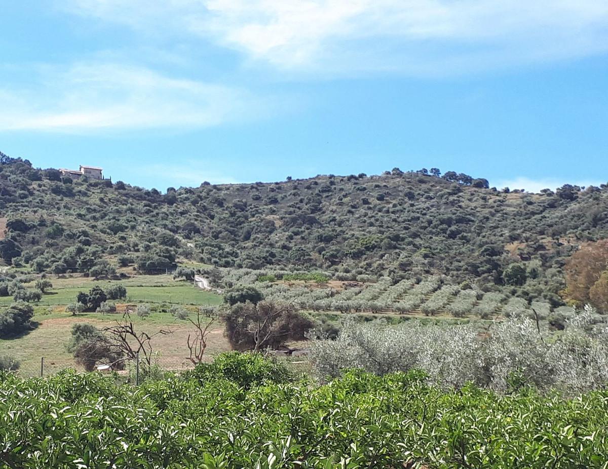 Commercial Farm in Coín