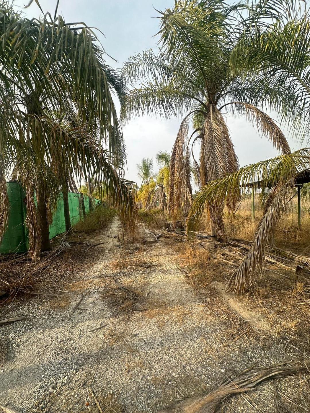 Plot Land in Alhaurín de la Torre