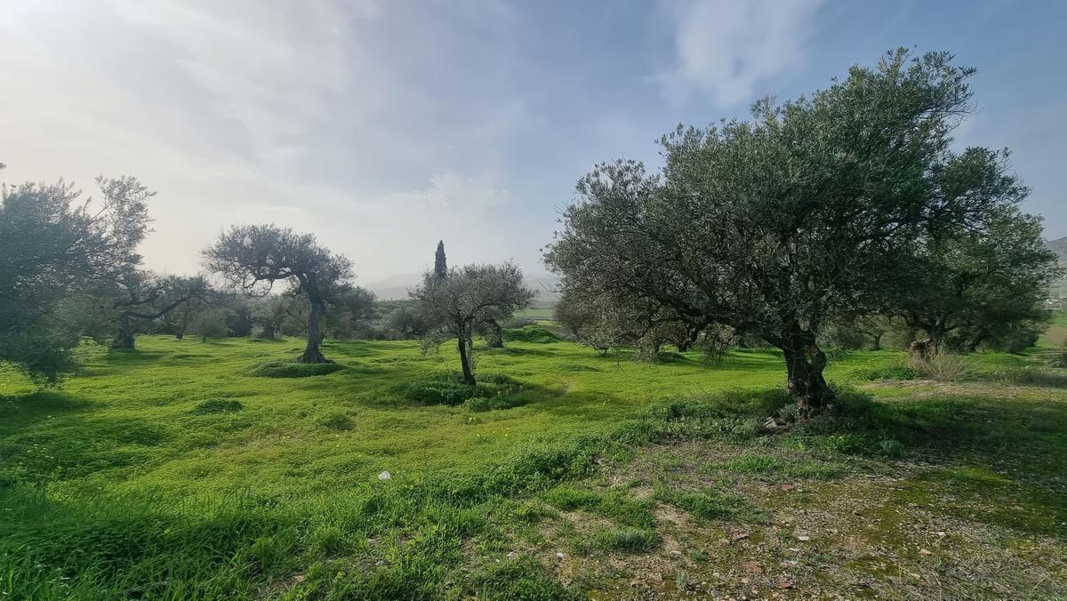 Plot Land in Alhaurín el Grande