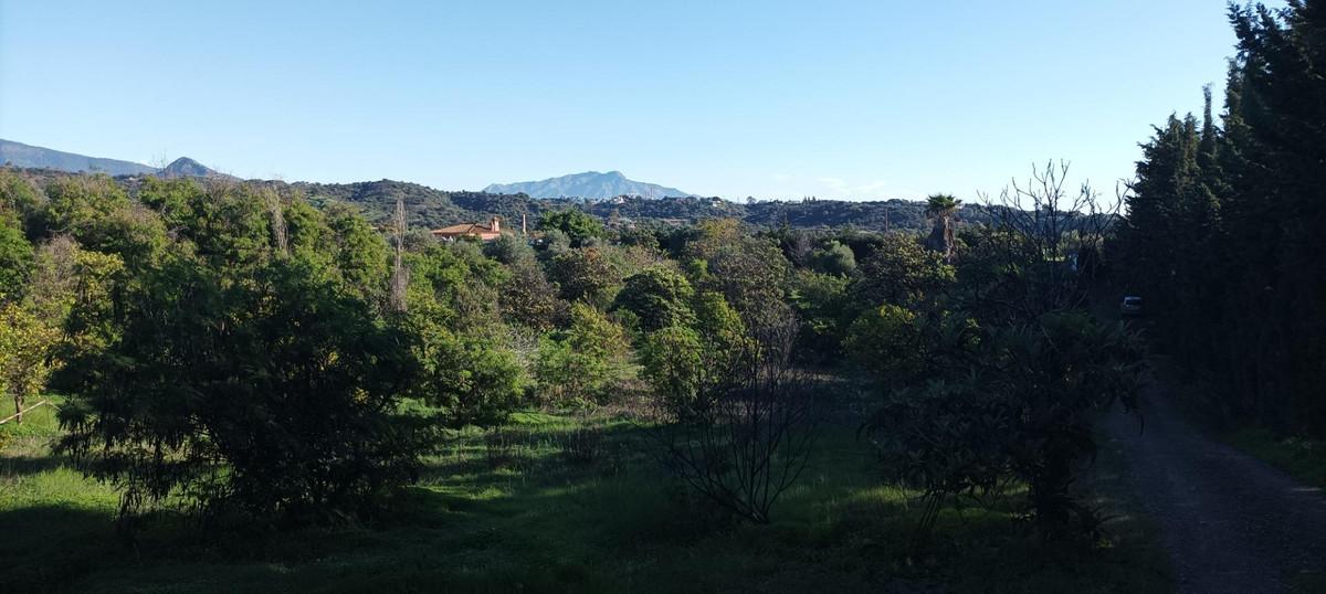 Plot Land in El Padron