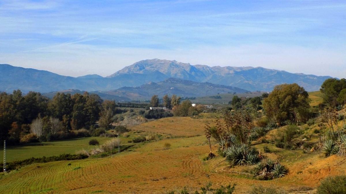 Plot Land in Coín