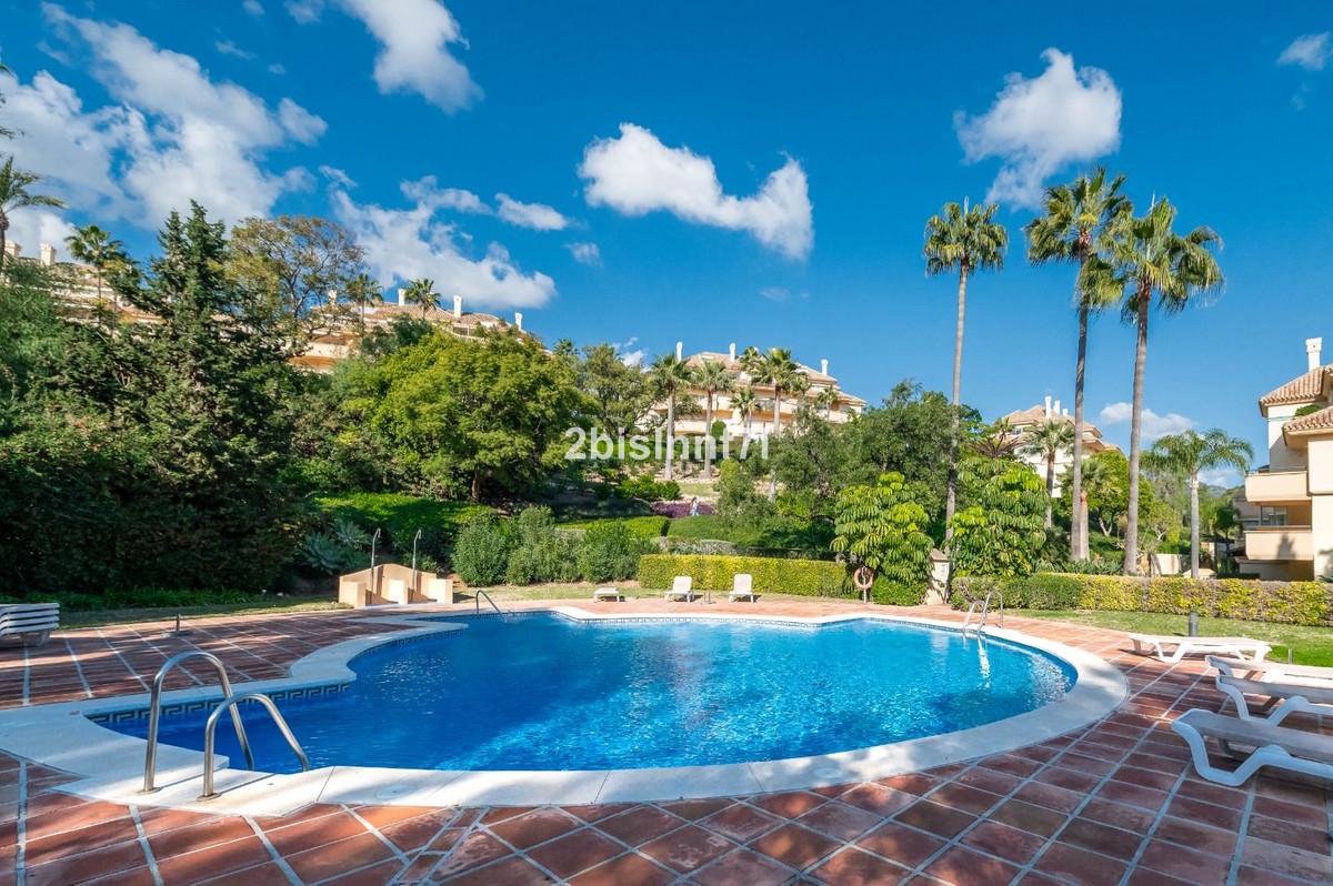 Apartment Middle Floor in Elviria