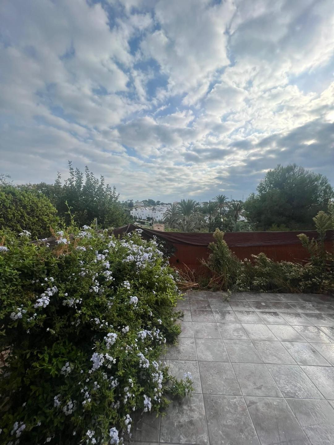 Apartment Ground Floor in Estepona