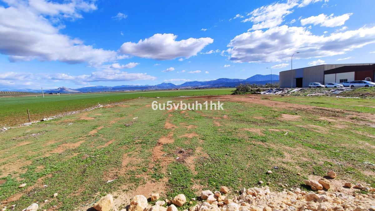 Plot Land in Mollina